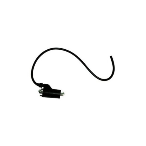 BOBINA ESTERNA 12V DUCATI 600/750/900 MONSTER/SS