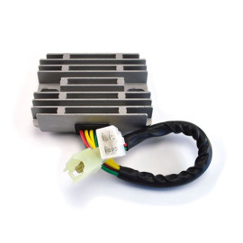 REGOLATORE DZE DUCATI MONSTER/SS 600/750/800/900/1000 98/>