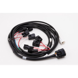 HEALTECH AR Assistant - kit AW-TC, LC, PIT - AR Assistant - kit cablaggi
