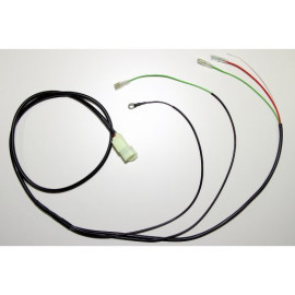 HEALTECH Cambio elettronico Healtech - iQSE - Kit Cablaggio