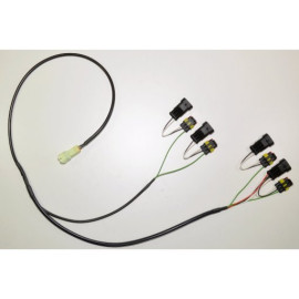 HEALTECH Cambio elettronico Healtech - iQSE - Kit Cablaggio