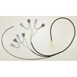 HEALTECH Cambio elettronico Healtech - iQSE - Kit Cablaggio