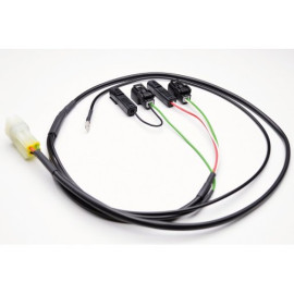 HEALTECH Cambio elettronico Healtech - iQSE - Kit Cablaggio