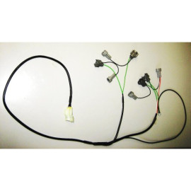 HEALTECH Cambio elettronico Healtech - iQSE - Kit Cablaggio