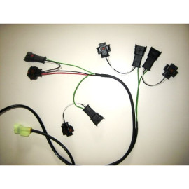 HEALTECH Cambio elettronico Healtech - iQSE - Kit Cablaggio