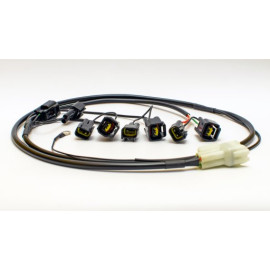 HEALTECH Cambio elettronico Healtech - iQSE - Kit Cablaggio