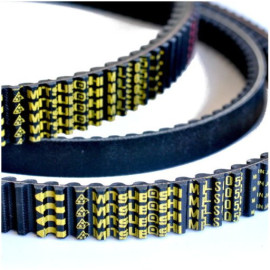 CINGHIA MITSUBOSHI YAMAHA CR 50Z - MALAGUTI F10/F12