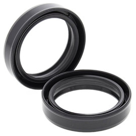 KIT PARAOLIO FORCELLA 41x53x10,5 Tipo DRD