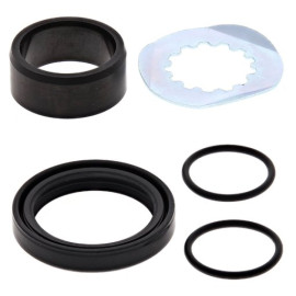 KIT REVISIONE ALBERO PIGNONE