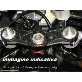 POWERBRONZE Protezione Piastra Sterzo