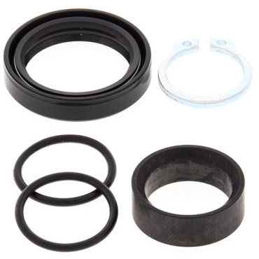 KIT REVISIONE ALBERO PIGNONE