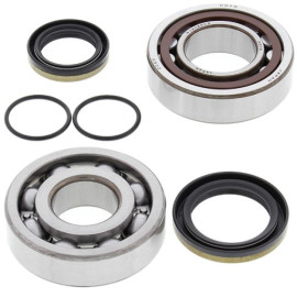 KIT CUSCINETTI E PARAOLIO PER ALBERO MOTORE