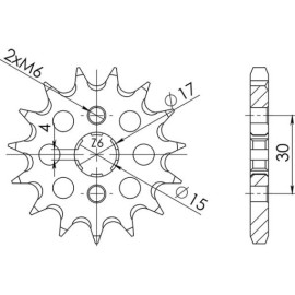 PIGNONE P428 - Z15 (DIS.20102)