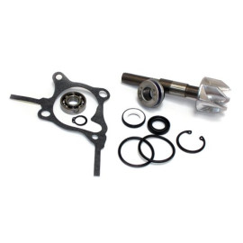 KIT RIPARAZIONE POMPA ACQUA HONDA 250 FORESIGHT/JAZZ