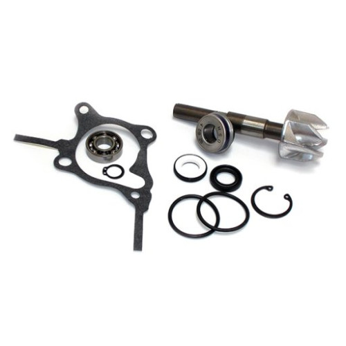 KIT RIPARAZIONE POMPA ACQUA HONDA 250 FORESIGHT/JAZZ