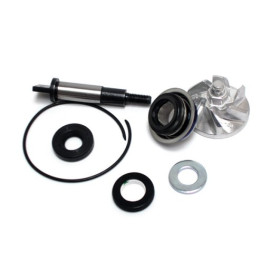 KIT RIPARAZIONE POMPA ACQUA HONDA 300 SH-FORZA