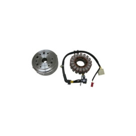 VOLANO COMPLETO DENSO HONDA SH 300 07/10