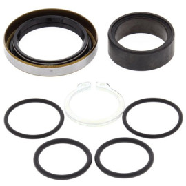 KIT REVISIONE ALBERO PIGNONE