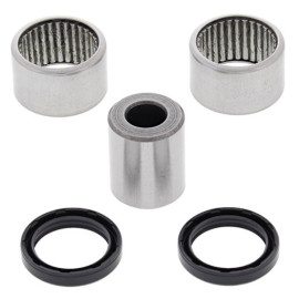 KIT REVISIONE MONO INFERIORE