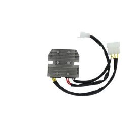 REGOLATORE DZE KTM DUKE 125/390
