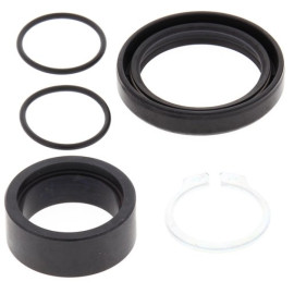 KIT REVISIONE ALBERO PIGNONE